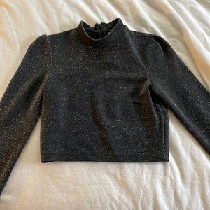 Shimmery H&M Crop Top